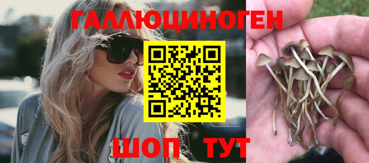 Псилоцибиновые грибы мухоморы  Вход с VPN  Псилоцибиновые грибы Psilocybine cubensis  Салават 
